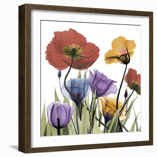 Flowerscape-Albert Koetsier-Framed Photographic Print