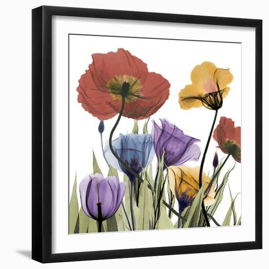 Flowerscape-Albert Koetsier-Framed Photographic Print