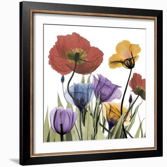 Flowerscape-Albert Koetsier-Framed Photographic Print