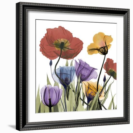 Flowerscape-Albert Koetsier-Framed Photographic Print