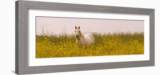 Flowery Field-Sally Linden-Framed Photo