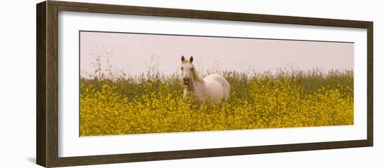 Flowery Field-Sally Linden-Framed Photo