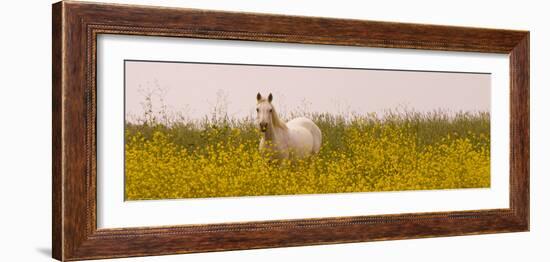 Flowery Field-Sally Linden-Framed Photo