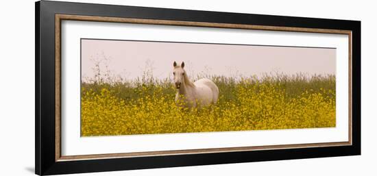 Flowery Field-Sally Linden-Framed Photo