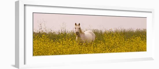 Flowery Field-Sally Linden-Framed Photo