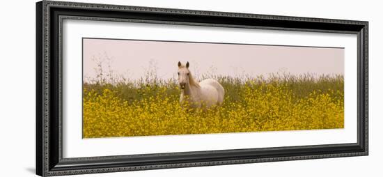 Flowery Field-Sally Linden-Framed Photo