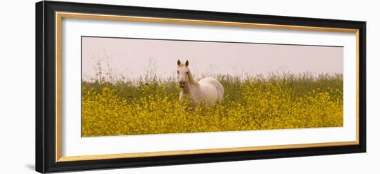 Flowery Field-Sally Linden-Framed Photo