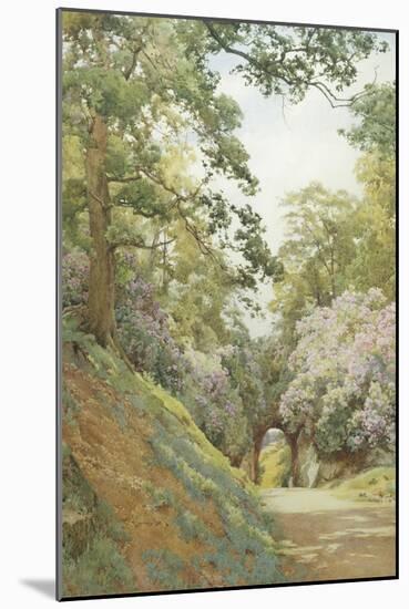 Flowery Glade-Alfred Parsons-Mounted Giclee Print