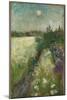 Flowery Meadow at Veierland, 1887 (Oil on Cardboard Mounted Canvas)-Edvard Munch-Mounted Giclee Print