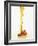 Flowing Honeydew Honey-Marc O^ Finley-Framed Photographic Print