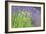 Flowing Lavender I-Dana Styber-Framed Photographic Print