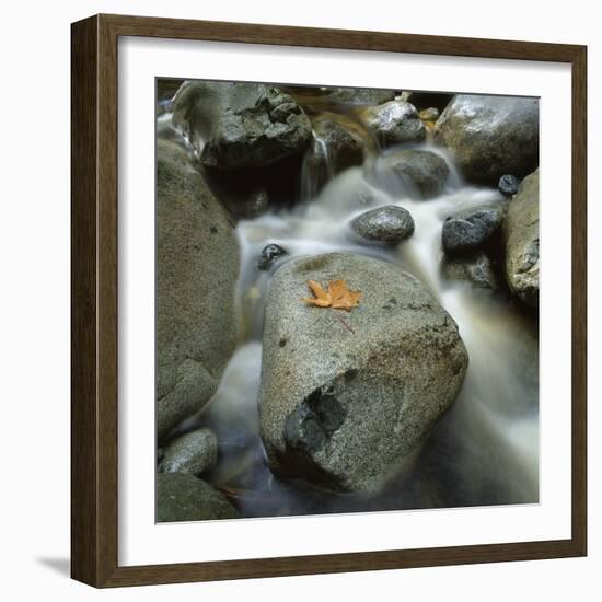 Flowing River-Micha Pawlitzki-Framed Photographic Print