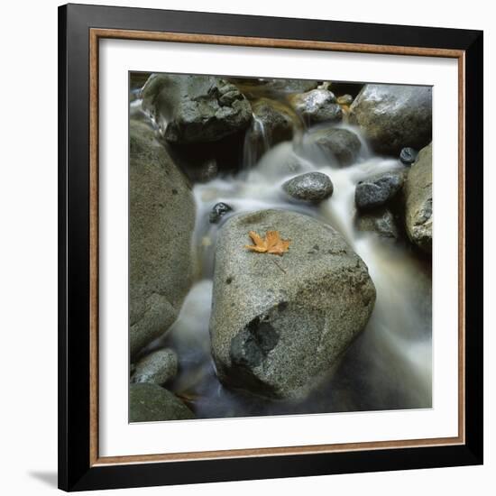 Flowing River-Micha Pawlitzki-Framed Photographic Print