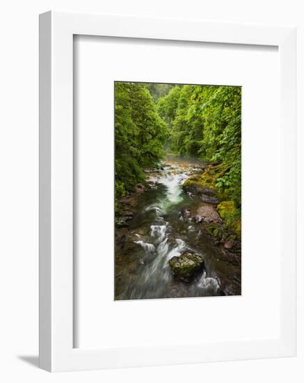 Flowing stream meandering through forest-Sheila Haddad-Framed Photographic Print