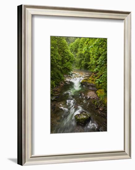 Flowing stream meandering through forest-Sheila Haddad-Framed Photographic Print