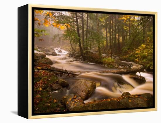 Flowing Streams Along the Appalachian Trail, East Arlington, Vermont, USA-Joe Restuccia III-Framed Premier Image Canvas