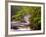 Flowing Streams Along the Appalachian Trail, East Arlington, Vermont, USA-Joe Restuccia III-Framed Photographic Print