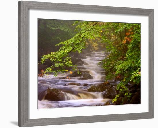 Flowing Streams Along the Appalachian Trail, East Arlington, Vermont, USA-Joe Restuccia III-Framed Photographic Print