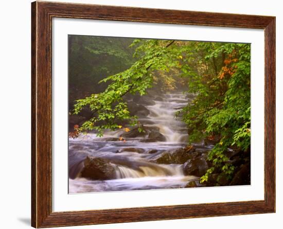 Flowing Streams Along the Appalachian Trail, East Arlington, Vermont, USA-Joe Restuccia III-Framed Photographic Print