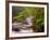 Flowing Streams Along the Appalachian Trail, East Arlington, Vermont, USA-Joe Restuccia III-Framed Photographic Print
