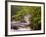 Flowing Streams Along the Appalachian Trail, East Arlington, Vermont, USA-Joe Restuccia III-Framed Photographic Print