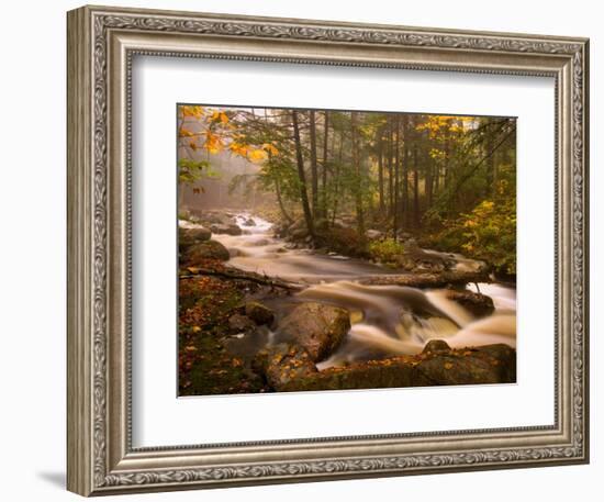 Flowing Streams Along the Appalachian Trail, East Arlington, Vermont, USA-Joe Restuccia III-Framed Photographic Print