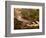 Flowing Streams Along the Appalachian Trail, East Arlington, Vermont, USA-Joe Restuccia III-Framed Photographic Print