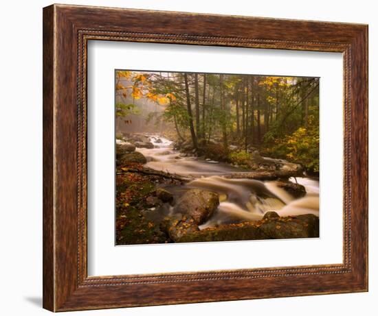 Flowing Streams Along the Appalachian Trail, East Arlington, Vermont, USA-Joe Restuccia III-Framed Photographic Print