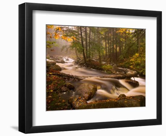 Flowing Streams Along the Appalachian Trail, East Arlington, Vermont, USA-Joe Restuccia III-Framed Photographic Print