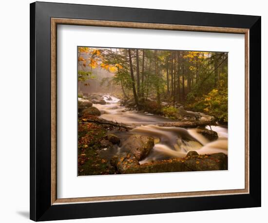 Flowing Streams Along the Appalachian Trail, East Arlington, Vermont, USA-Joe Restuccia III-Framed Photographic Print