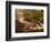 Flowing Streams Along the Appalachian Trail, East Arlington, Vermont, USA-Joe Restuccia III-Framed Photographic Print