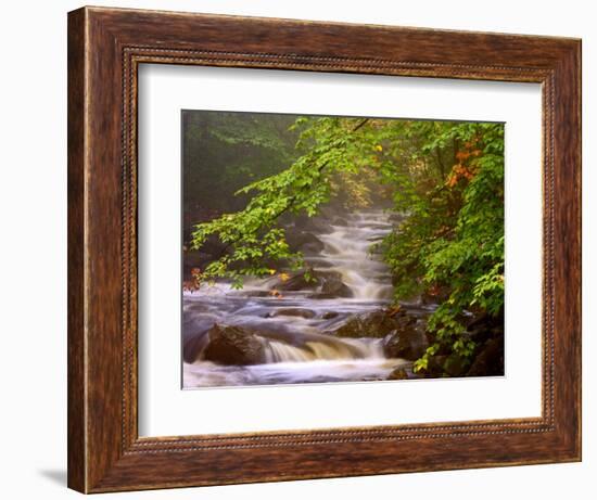 Flowing Streams Along the Appalachian Trail, East Arlington, Vermont, USA-Joe Restuccia III-Framed Photographic Print