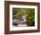 Flowing Streams Along the Appalachian Trail, East Arlington, Vermont, USA-Joe Restuccia III-Framed Photographic Print