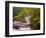 Flowing Streams Along the Appalachian Trail, East Arlington, Vermont, USA-Joe Restuccia III-Framed Photographic Print