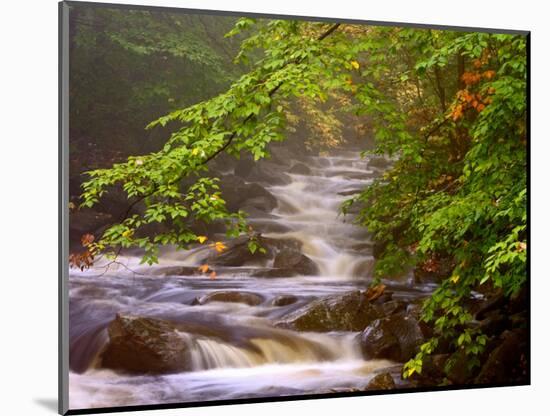 Flowing Streams Along the Appalachian Trail, East Arlington, Vermont, USA-Joe Restuccia III-Mounted Photographic Print