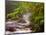 Flowing Streams Along the Appalachian Trail, East Arlington, Vermont, USA-Joe Restuccia III-Mounted Photographic Print