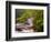 Flowing Streams Along the Appalachian Trail, East Arlington, Vermont, USA-Joe Restuccia III-Framed Photographic Print