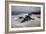 Flowing Tide-Stewart Smith-Framed Photographic Print