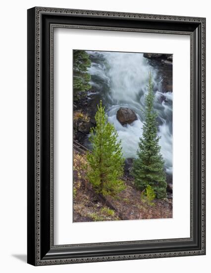 Flowing water in Firehole River, Yellowstone National Park.-Adam Jones-Framed Photographic Print