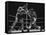 Floyd Patterson, and Sonny Liston During Championship Fight in Won by Liston in 1 1/2 Minutes-George Silk-Framed Premier Image Canvas