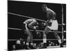 Floyd Patterson, and Sonny Liston During Liston-Patterson Heavyweight Title Bout-George Silk-Mounted Premium Photographic Print