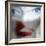 Fluff-Gideon Ansell-Framed Photographic Print