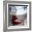 Fluff-Gideon Ansell-Framed Premium Photographic Print