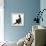 Fluffy Black Kitten, 12 Weeks Old, Stretching-Mark Taylor-Framed Premier Image Canvas displayed on a wall