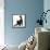 Fluffy Black Kitten, 12 Weeks Old, Stretching-Mark Taylor-Framed Premier Image Canvas displayed on a wall