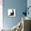 Fluffy Black Kitten, 12 Weeks Old, Stretching-Mark Taylor-Framed Premier Image Canvas displayed on a wall