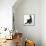 Fluffy Black Kitten, 12 Weeks Old, Stretching-Mark Taylor-Framed Premier Image Canvas displayed on a wall