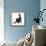 Fluffy Black Kitten, 12 Weeks Old, Stretching-Mark Taylor-Framed Photographic Print displayed on a wall