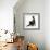 Fluffy Black Kitten, 12 Weeks Old, Stretching-Mark Taylor-Framed Photographic Print displayed on a wall