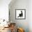 Fluffy Black Kitten, 12 Weeks Old, Stretching-Mark Taylor-Framed Photographic Print displayed on a wall